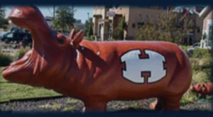 Hutto proud